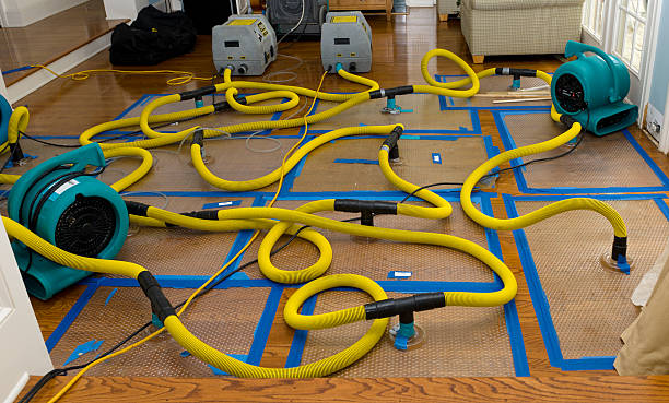 Professional Crawl Space Water Removal technician working in Dayton, IN